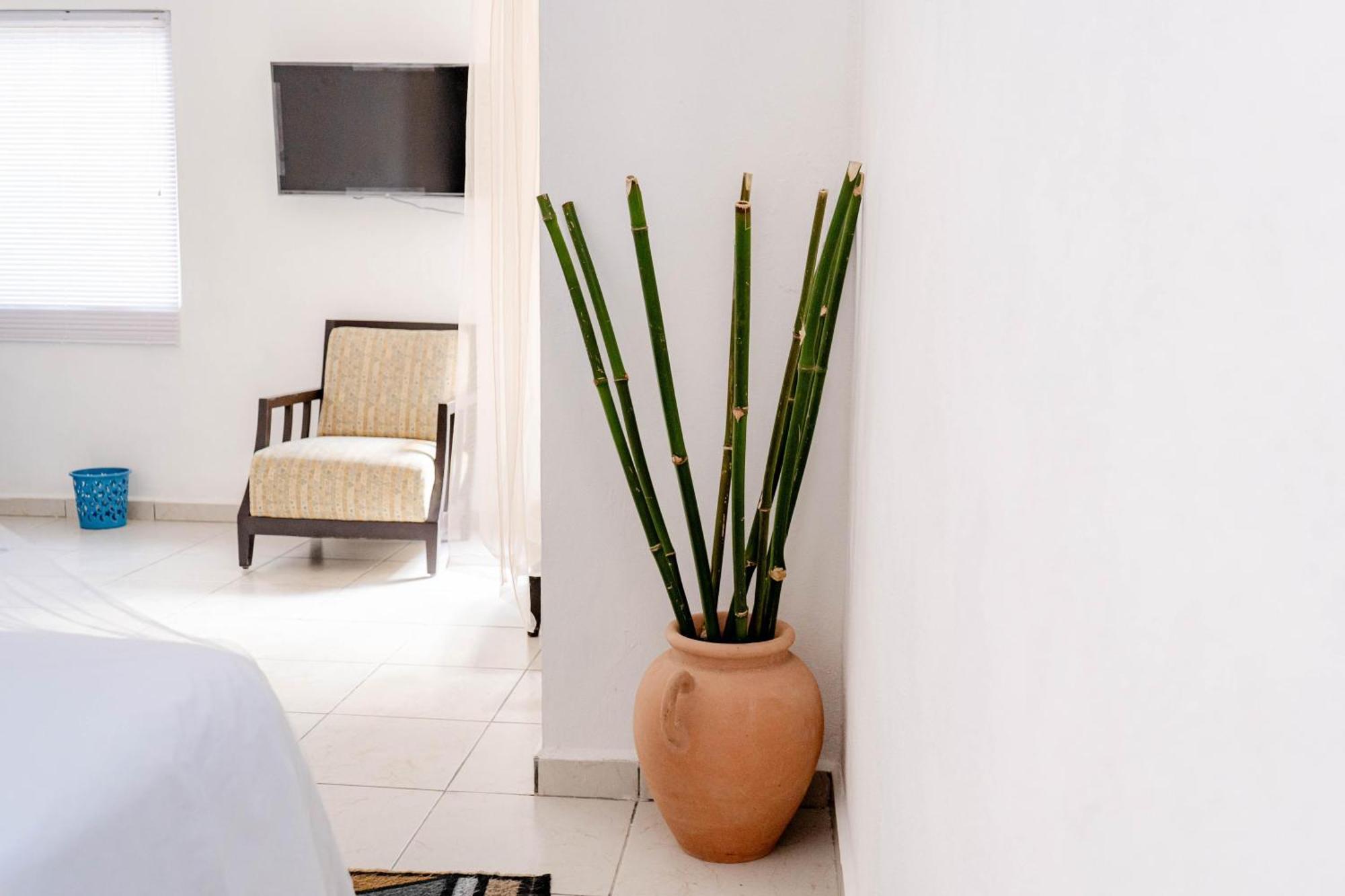 Buenosdias Izamal Bed & Breakfast ภายนอก รูปภาพ