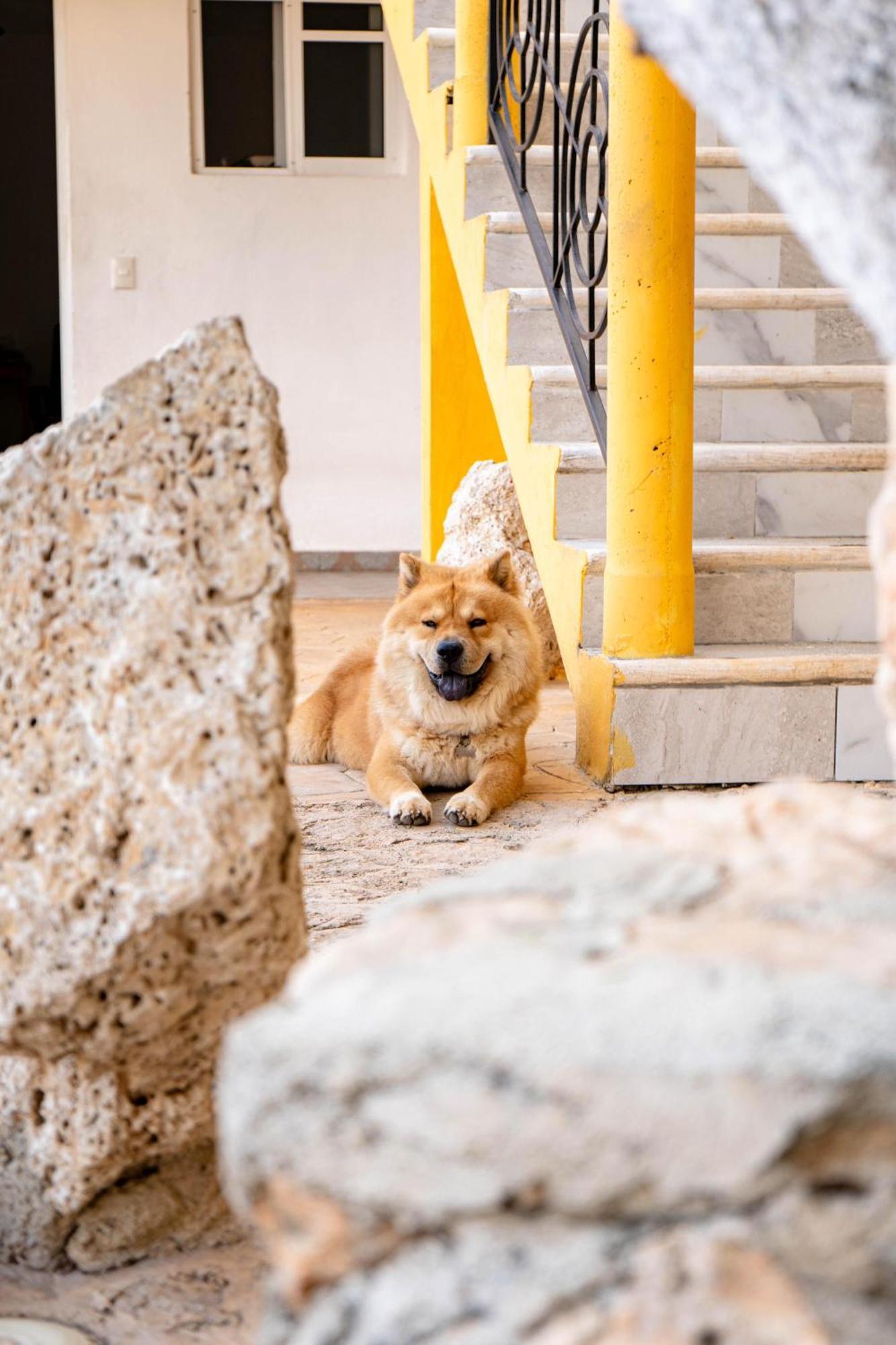 Buenosdias Izamal Bed & Breakfast ภายนอก รูปภาพ